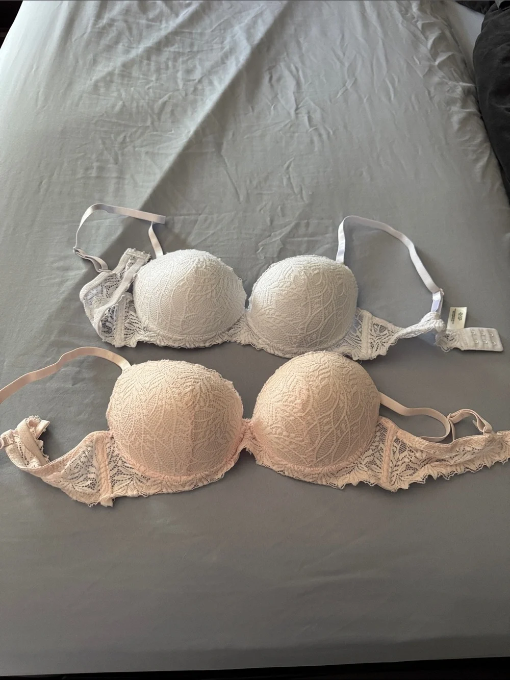 Rene Rofe | Wild Dream Lace Push-Up Bra - Bundle Size 36B NWOT - Picture 1 of 7